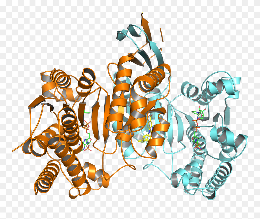 Caveman Clipart Jacked - Chemistry - Png Download