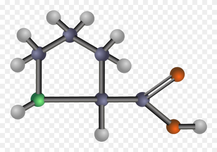 Amino Acid Png Clipart - Amino Acid Clipart Transparent Png