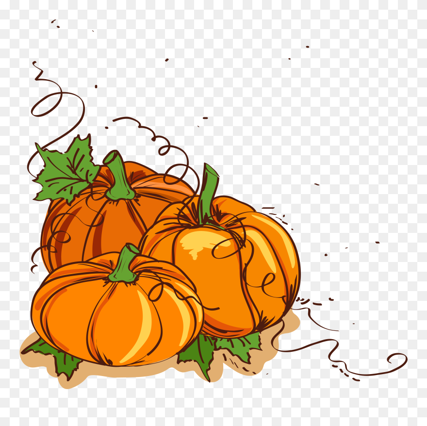 Thanksgiving Dinner Pumpkin Clip Art - Thanksgiving Pumpkin Png Vector Transparent Png