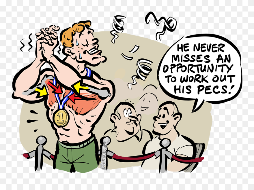 Pectoralis Major, The Bodybuilder"s Muscle - Cartoon Clipart