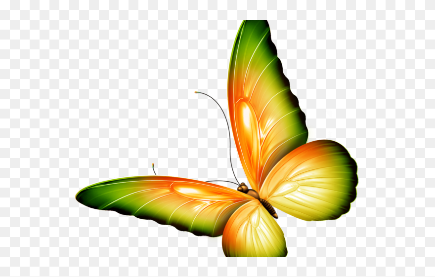 Orange And Green Butterfly Clipart