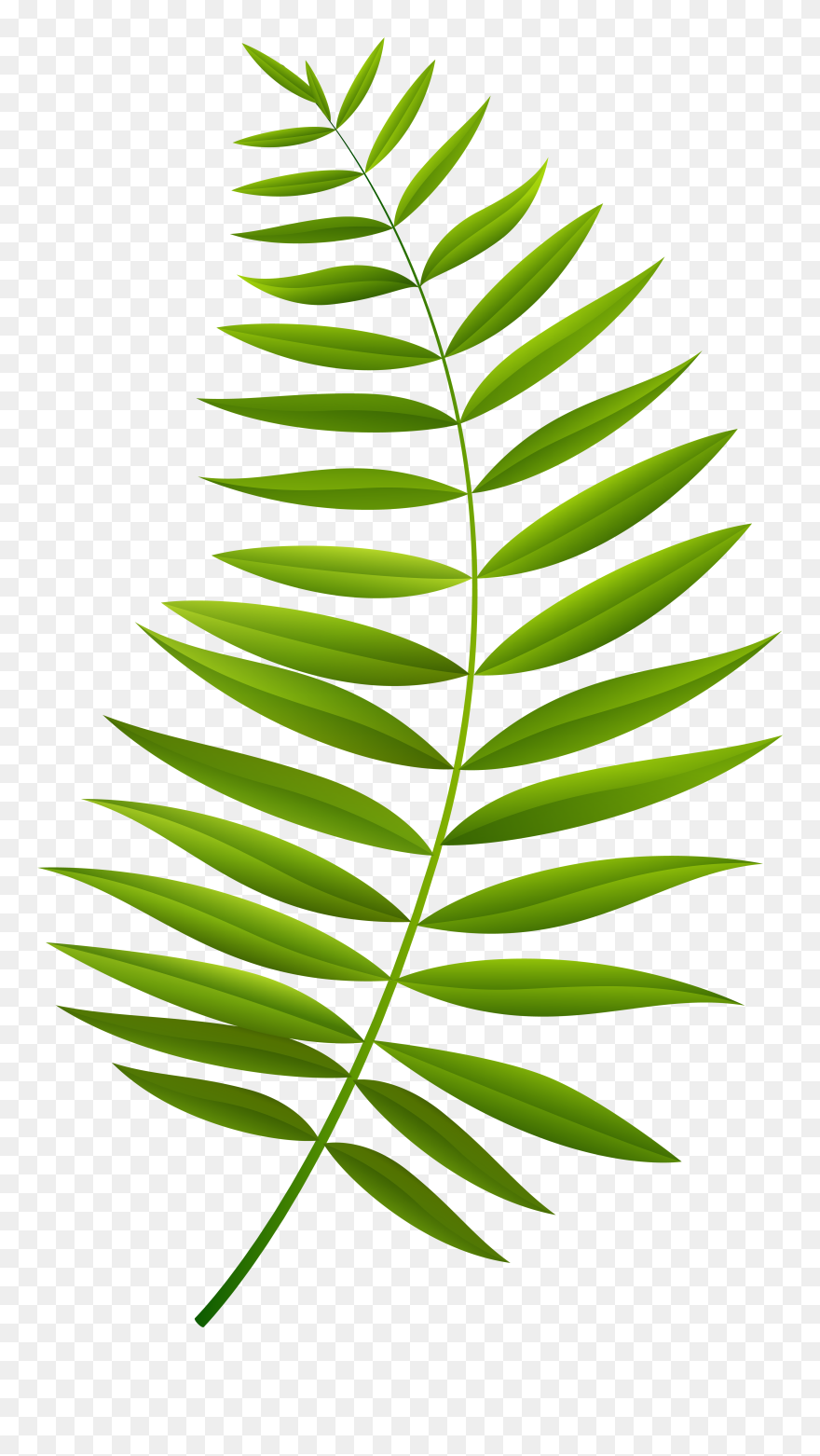Palm Branch Transparent Clip Art Image - Png Download