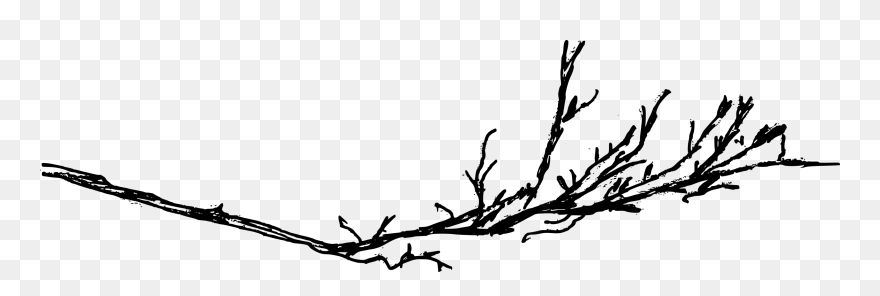 Branch Png - Tree Branches Png Sketch Clipart