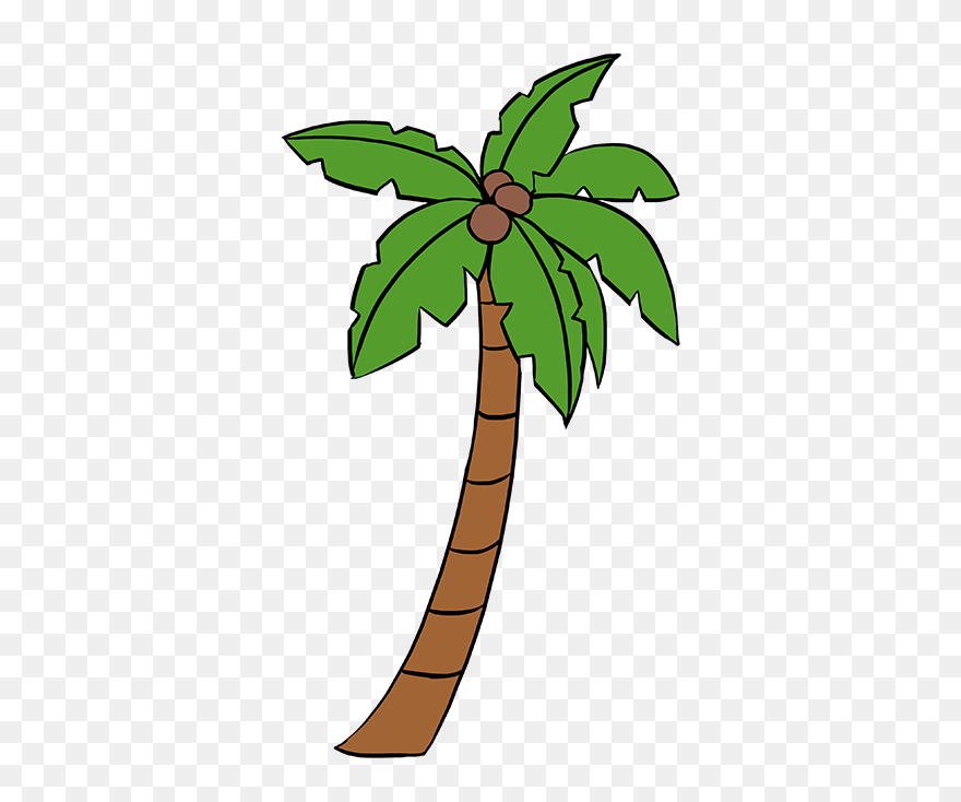 How To Draw Palm Tree - Cartoon Palm Tree Drawing Clipart