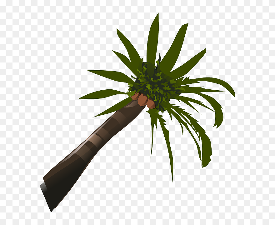 Brown, Green, Food, Palm, Tree, Cartoon, Trees, Plant - Palm Tree Clip Art - Png Download