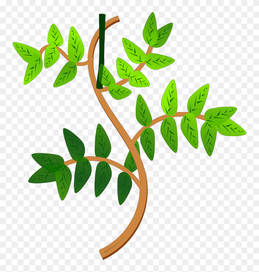 Clip Art - Png Download