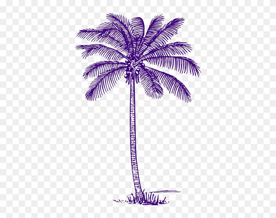 Palm Tree Svg Clip Arts - Palm Tree Outline Transparent - Png Download
