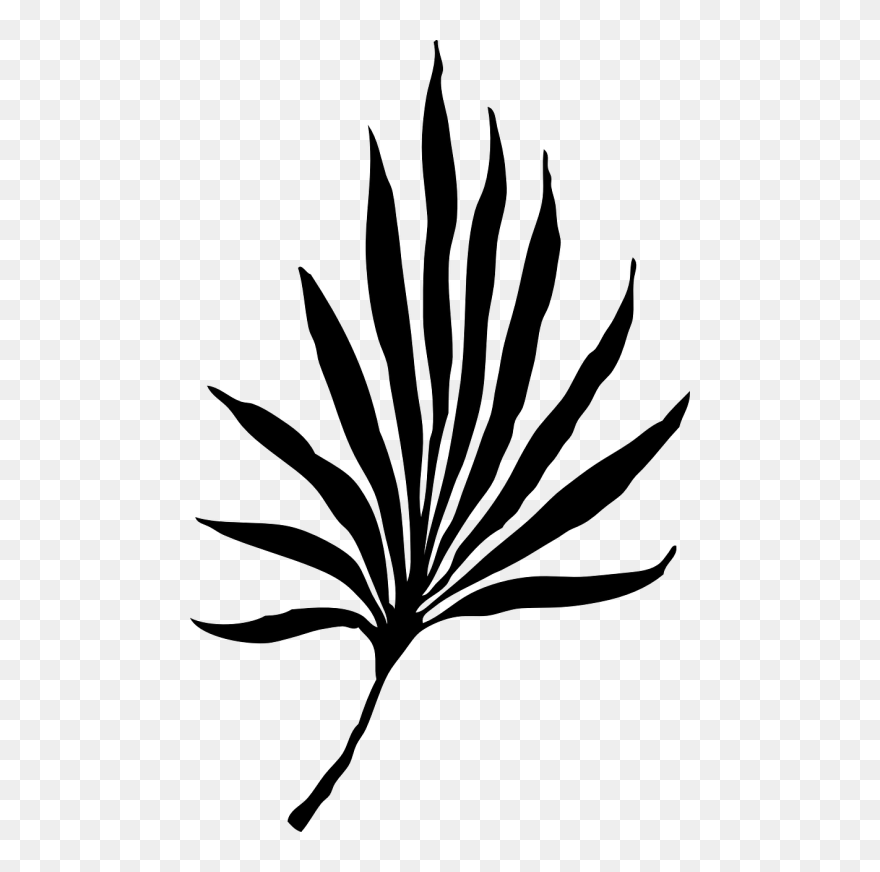 Palm Leaf Leaf Palmate - Palm Frond Clip Art - Png Download