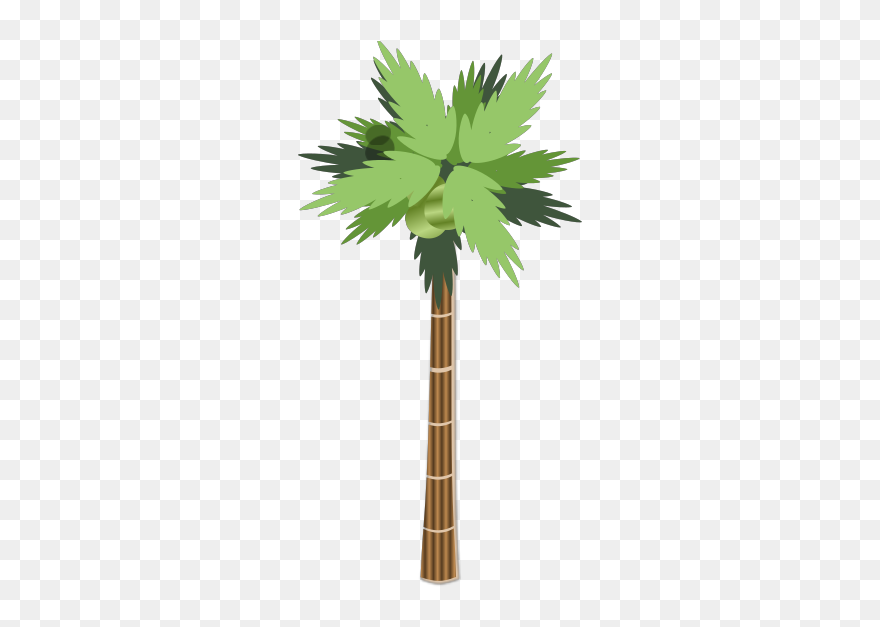 Palm Tree Svg Clip Arts - Palm Tree Clip Art - Png Download