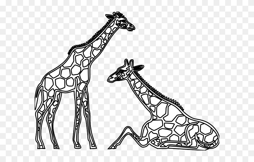 Giraffes Black And White Clip Art - Png Download
