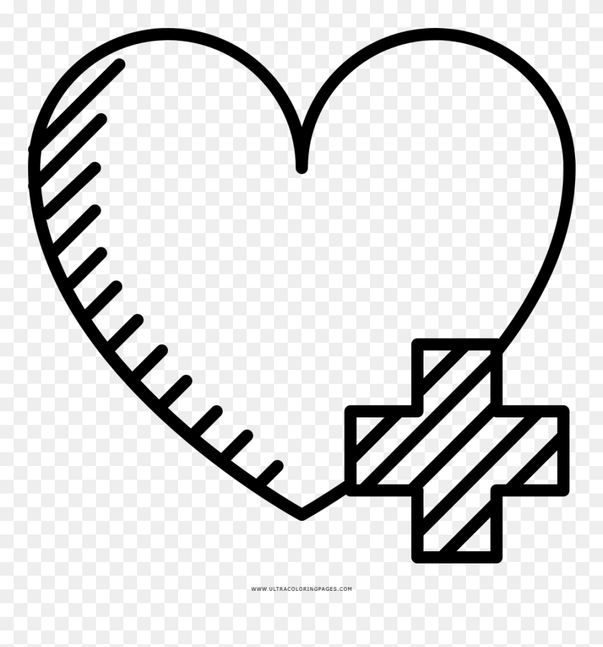 Health Coloring Page - Labelled Diagram Of Mushroom Rock Clipart