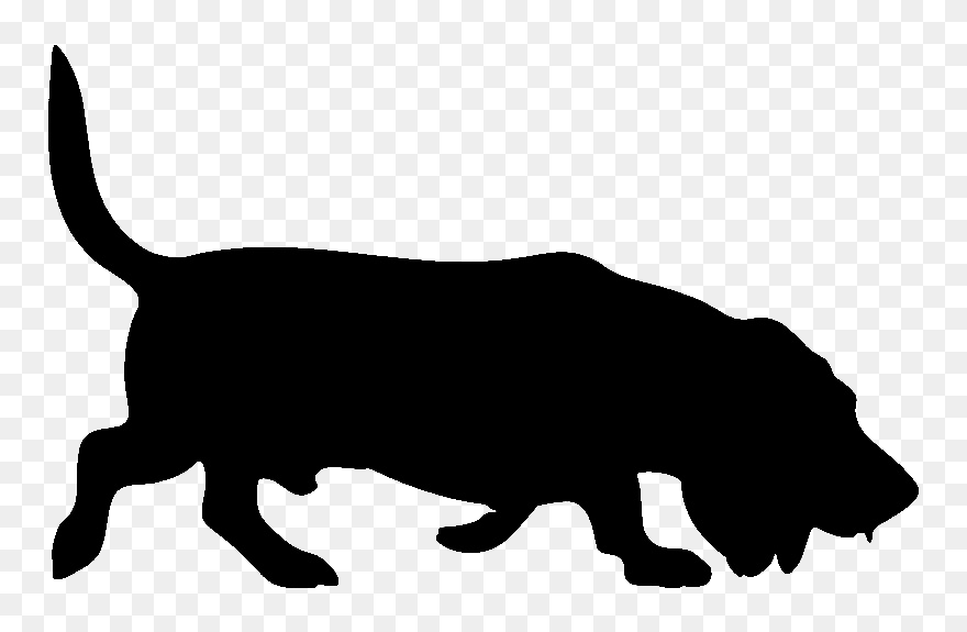 Basset Hound Bloodhound Petit Basset Griffon Vendéen - Basset Hound Stickers Car Clipart