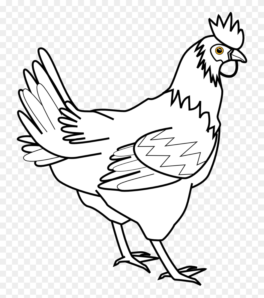 Cliparts For Free Download Chicken Clipart Roast Chicken - Clip Art Black And White Chicken - Png Download