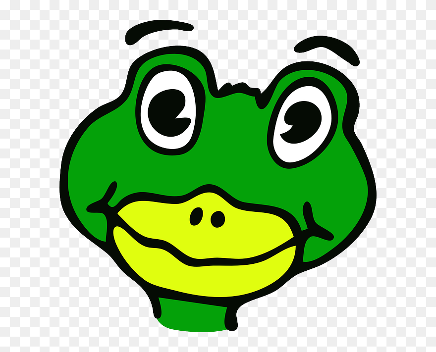 Drawn Frog - Lizard Face Clipart - Png Download