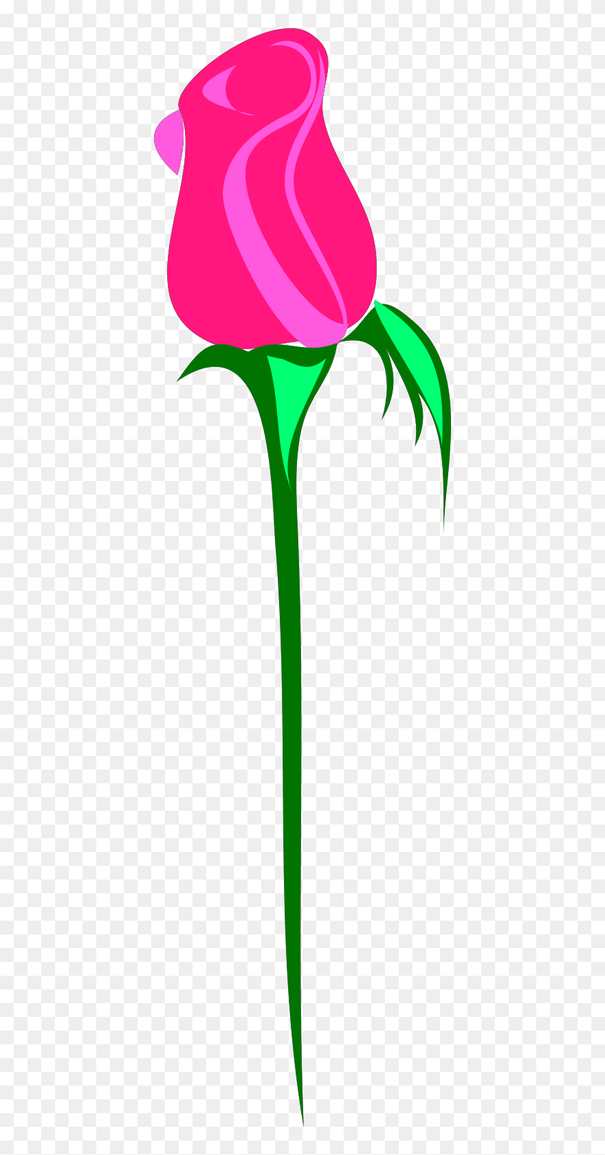 Rose Buds Clipart - Png Download