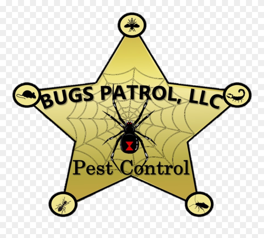 Clip Art - Png Download