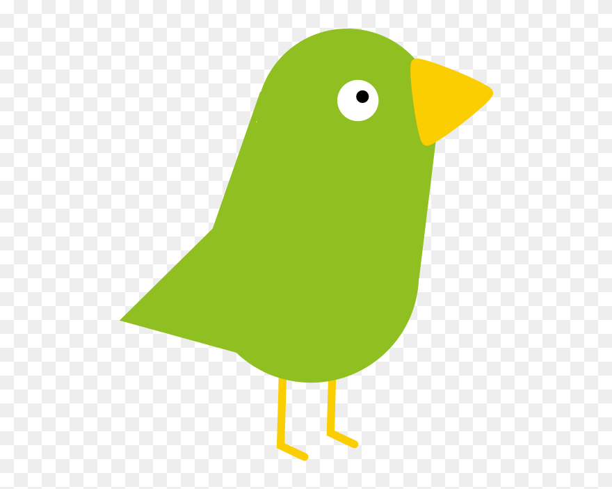 Old World Flycatcher Clipart