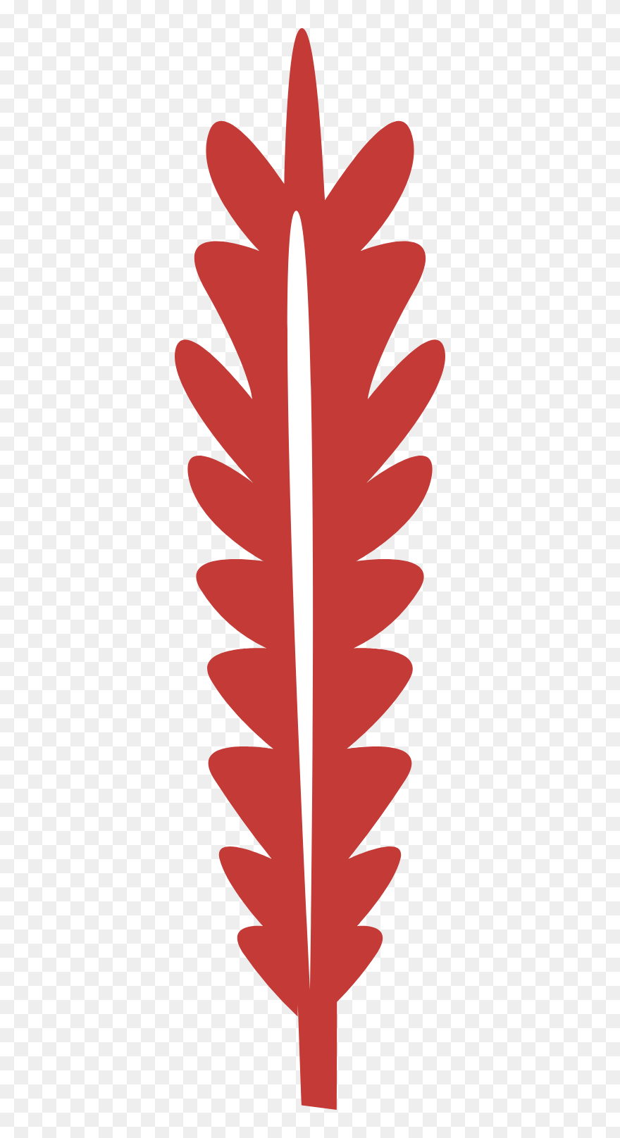 Graphic Design Clipart