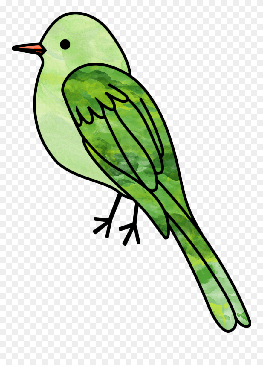 Old World Flycatcher Clipart