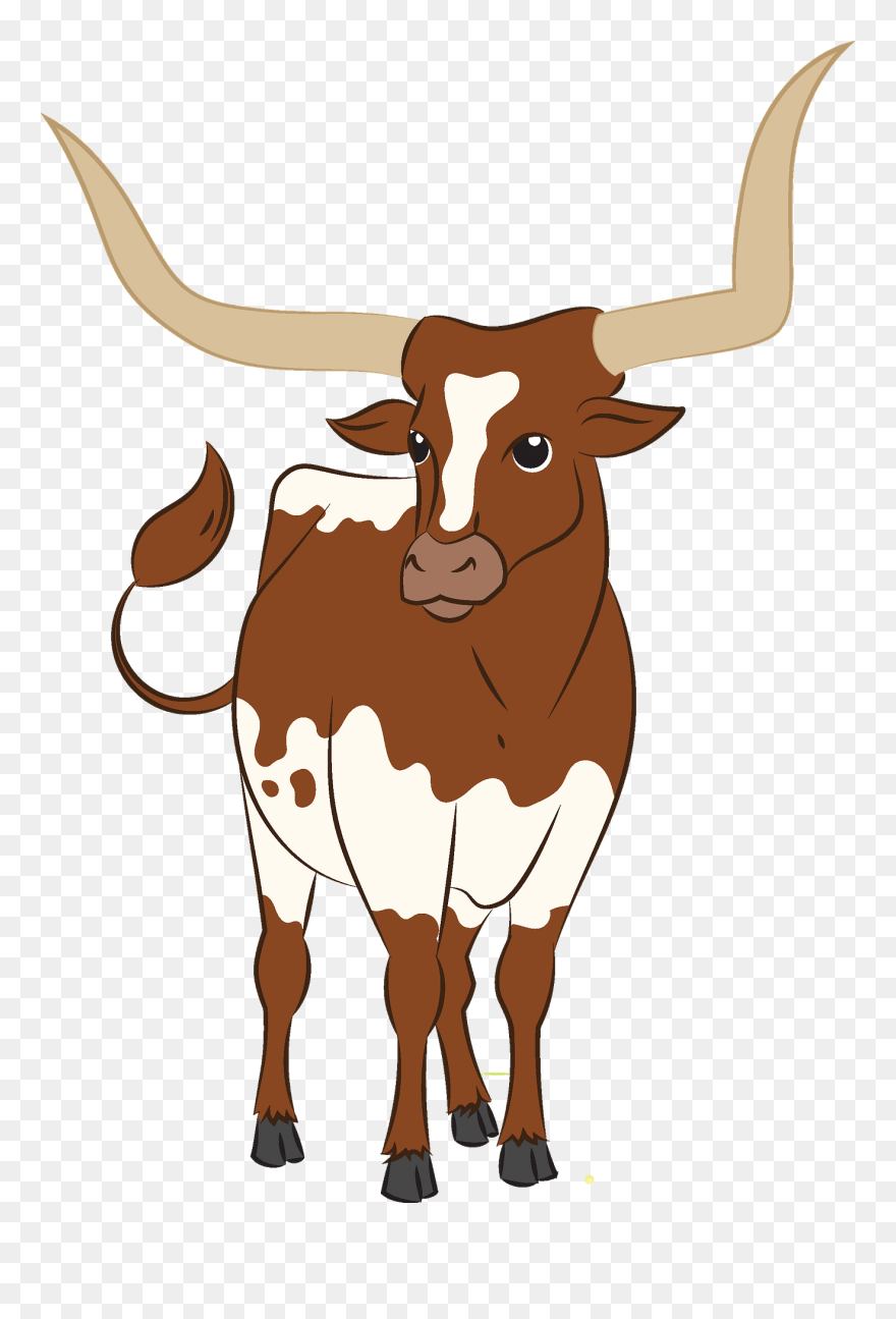 Longhorn Clipart - Png Download