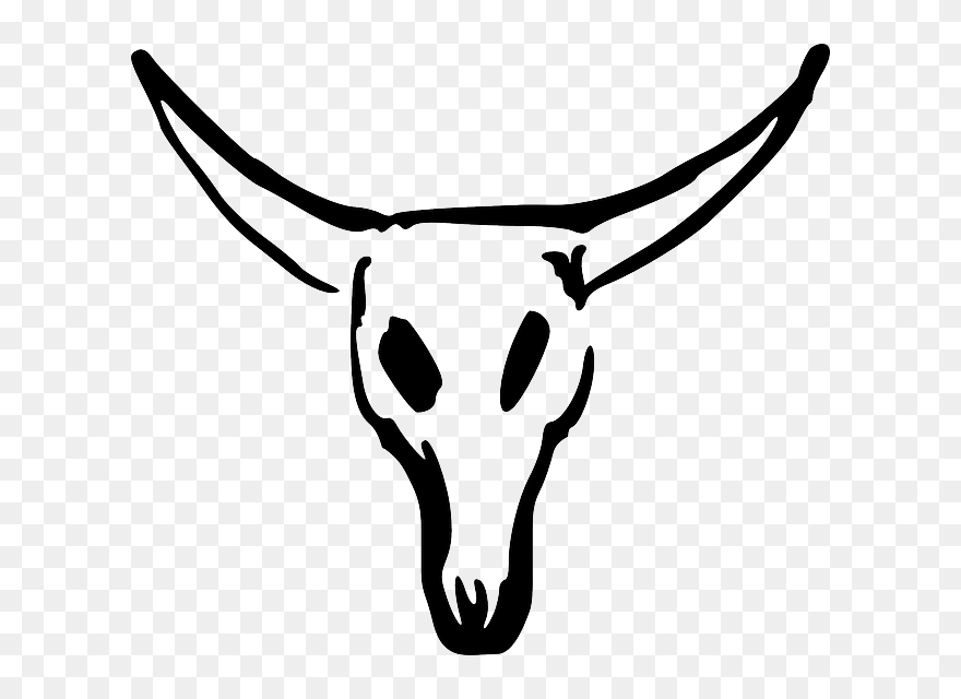 Animals, Skull, Cartoon, Cow, Cattle, Mammals, Bull - Cow Skull Clipart - Png Download