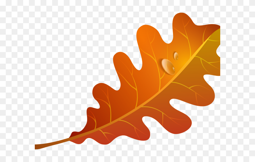 Autumn Leaf Clipart Transparent Background - Png Download