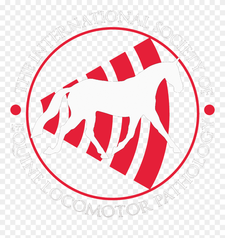The International Society Of Equine Locomotor Pathology - Circle Clipart