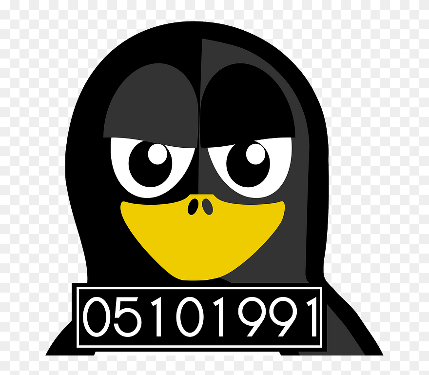 Mugshot Penguin Clipart - Cartoon - Png Download