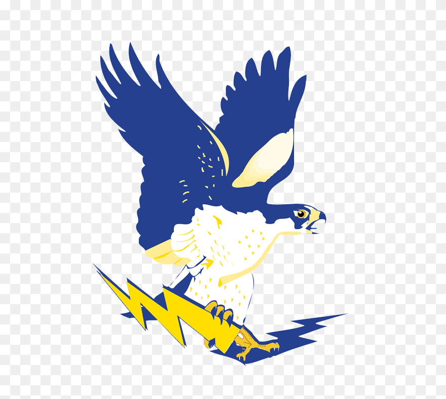 Falcons Channelview High School Clipart