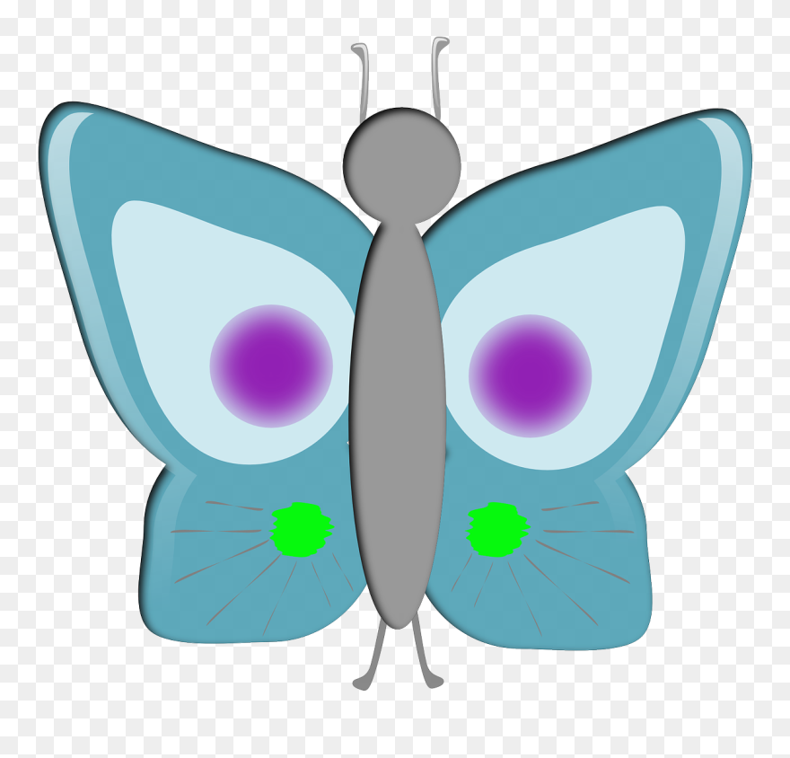 Butterflies Clipart