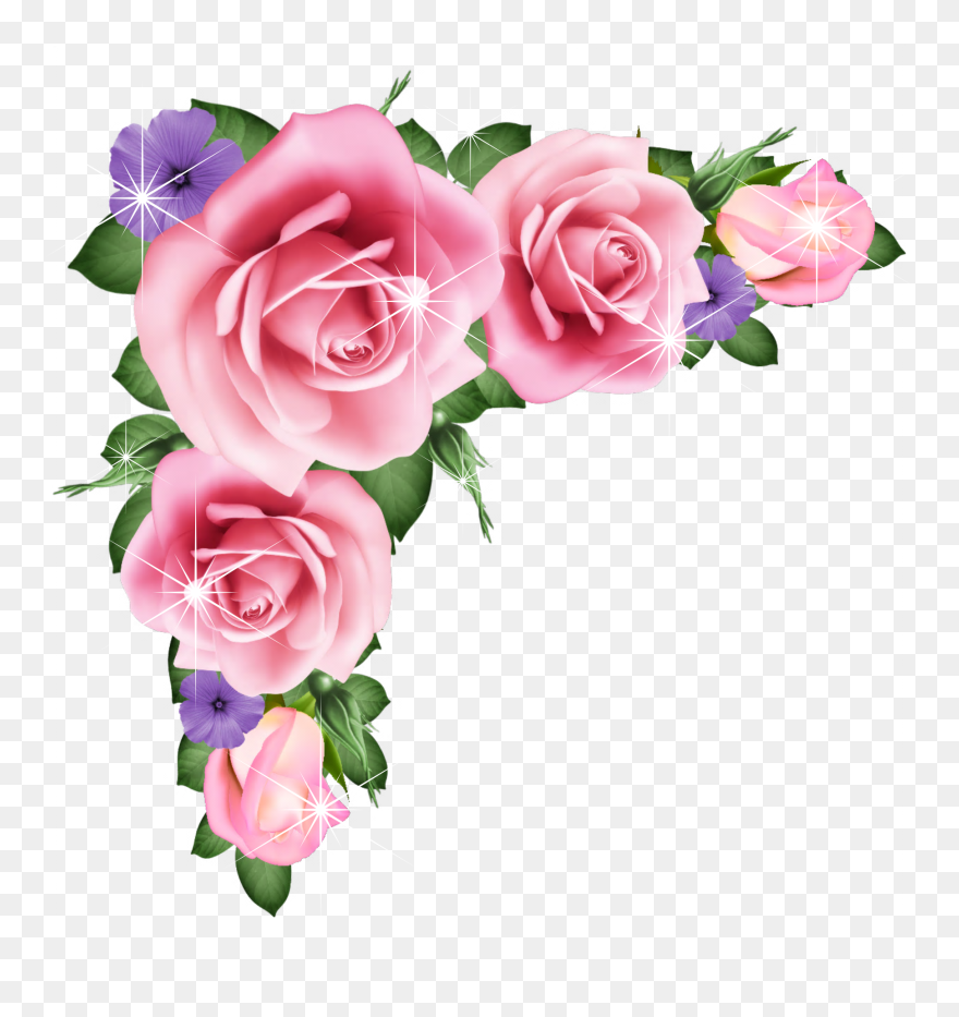 Pink Floral Clipart Example Image - Garden Roses - Png Download