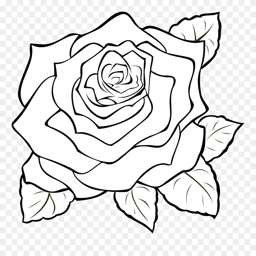 How To Of Rose - Rose Drawing Clipart