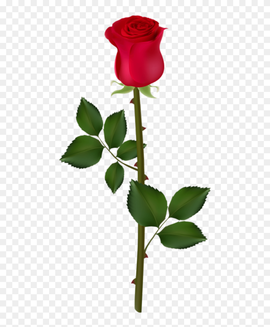 Rose And Thorn Clipart Png Download (5418104) PinClipart