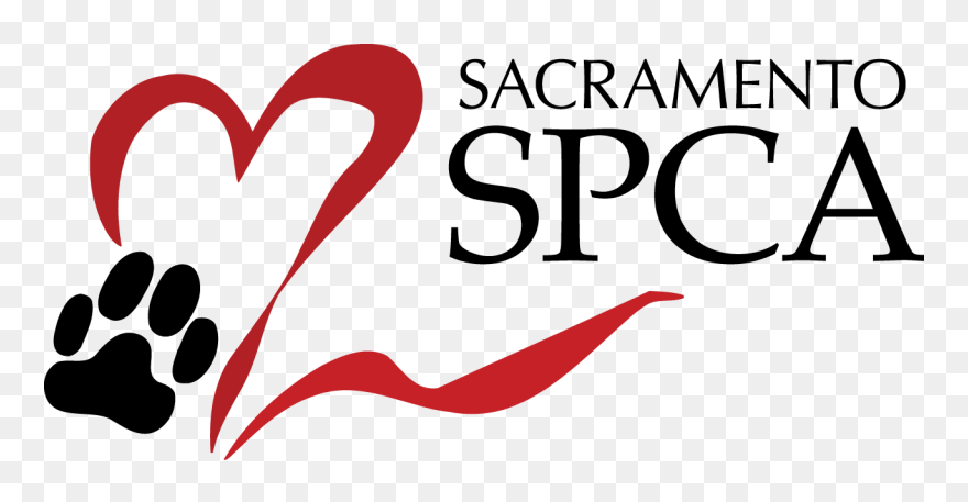Jazz Clipart Roaring 20"s - Sacramento Spca - Png Download