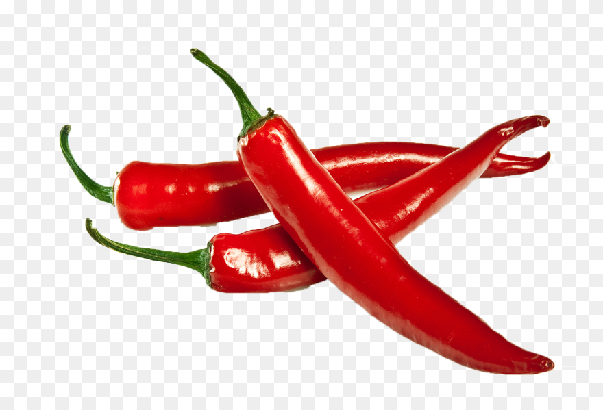 Chutney Chili Pepper Indian Cuisine Chili Powder Spice - Red Chilli Png Clipart