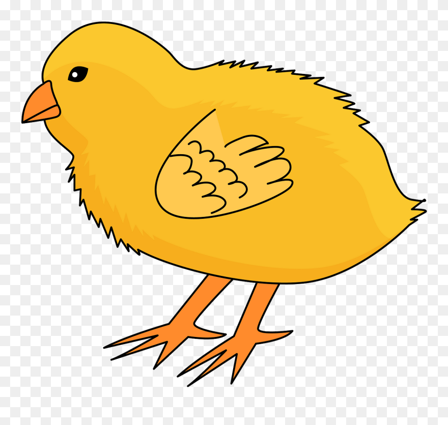 Chick Clipart - Clipart Of Chick - Png Download