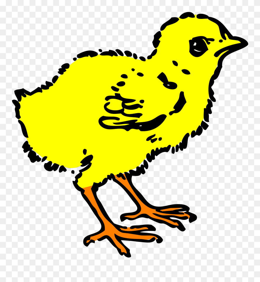 Baby Chick Chick Clipart Black And White - Png Download