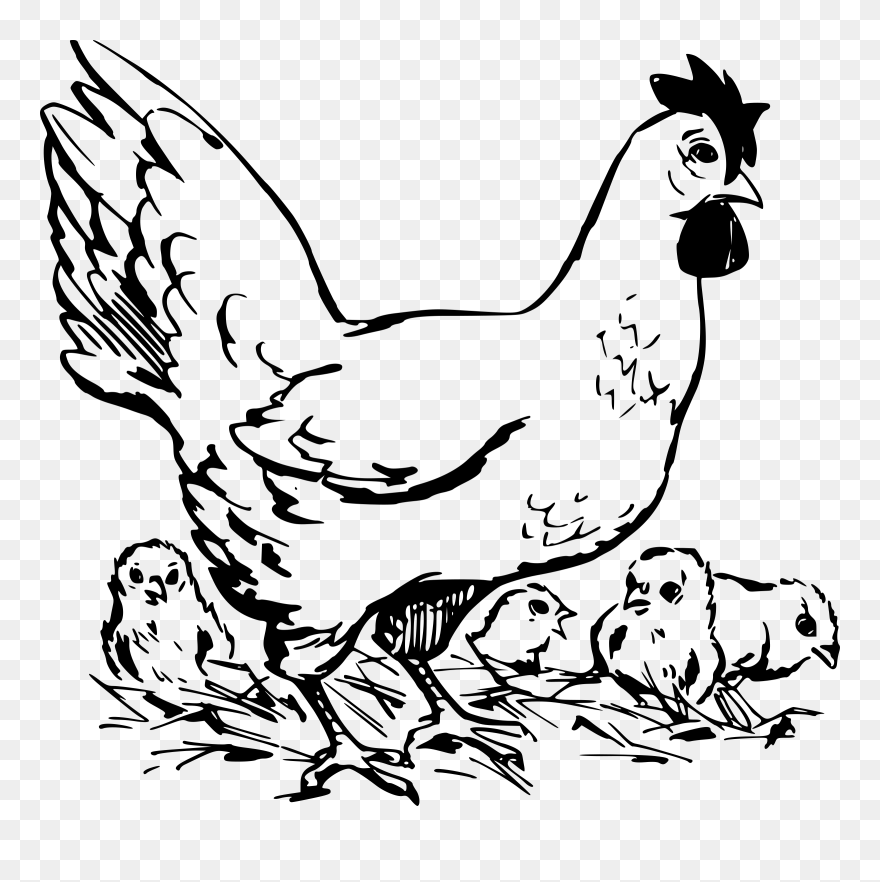 Hen And Chickens Clip Arts - Black And White Clip Art Of Chickens - Png Download