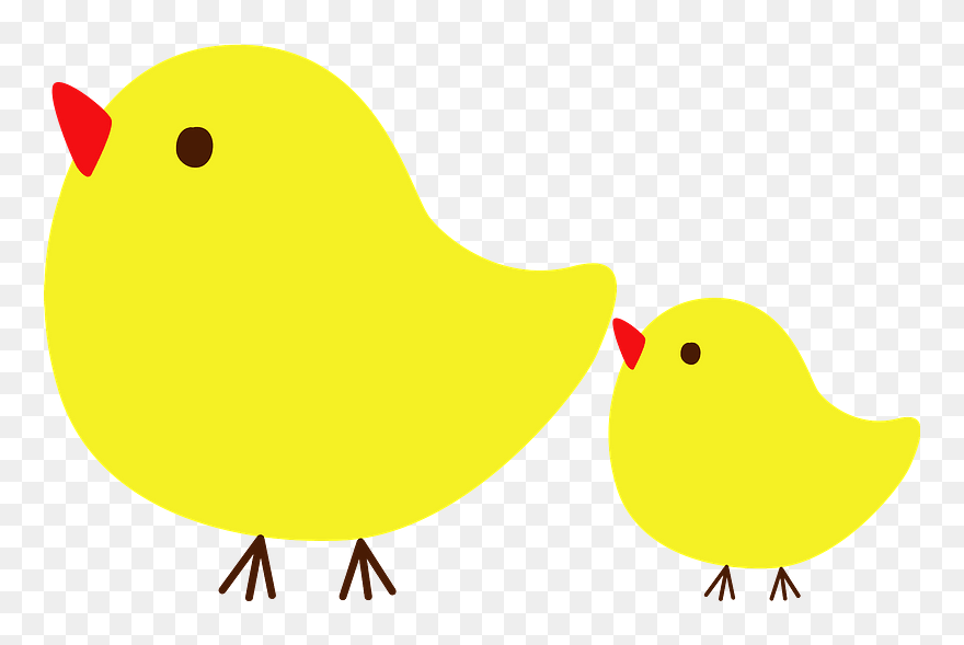 Chicks Bird Clipart - Chicken - Png Download