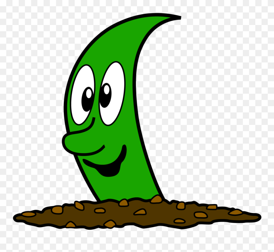 Fez As A Baby Clipart