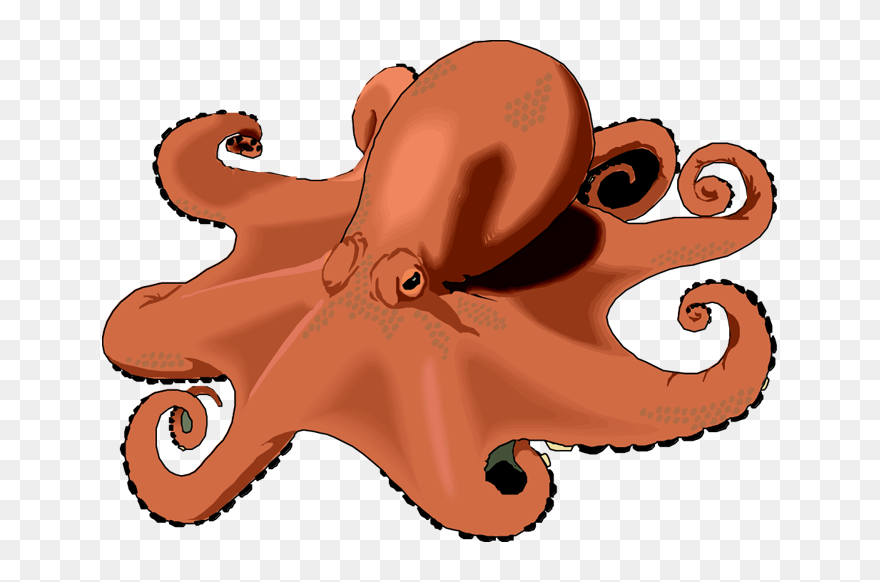 Free Octopus Clipart - Clipart Of An Octopus - Png Download
