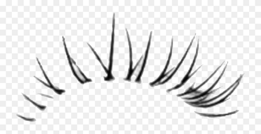 Mascara Lashes Png Image Background - Eyelashes Png For Photoshop Clipart