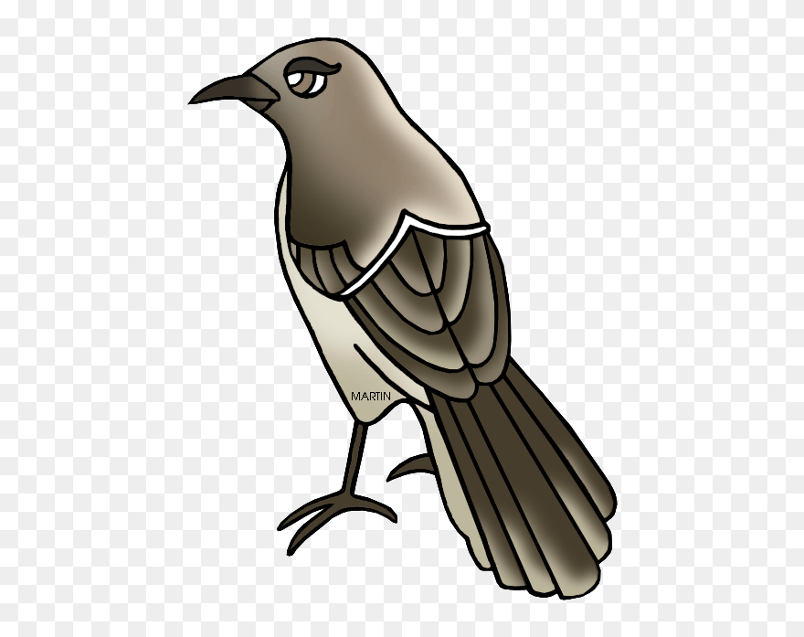 Mockingbird Clipart Texas Mockingbird - Mockingbird Clipart - Png Download