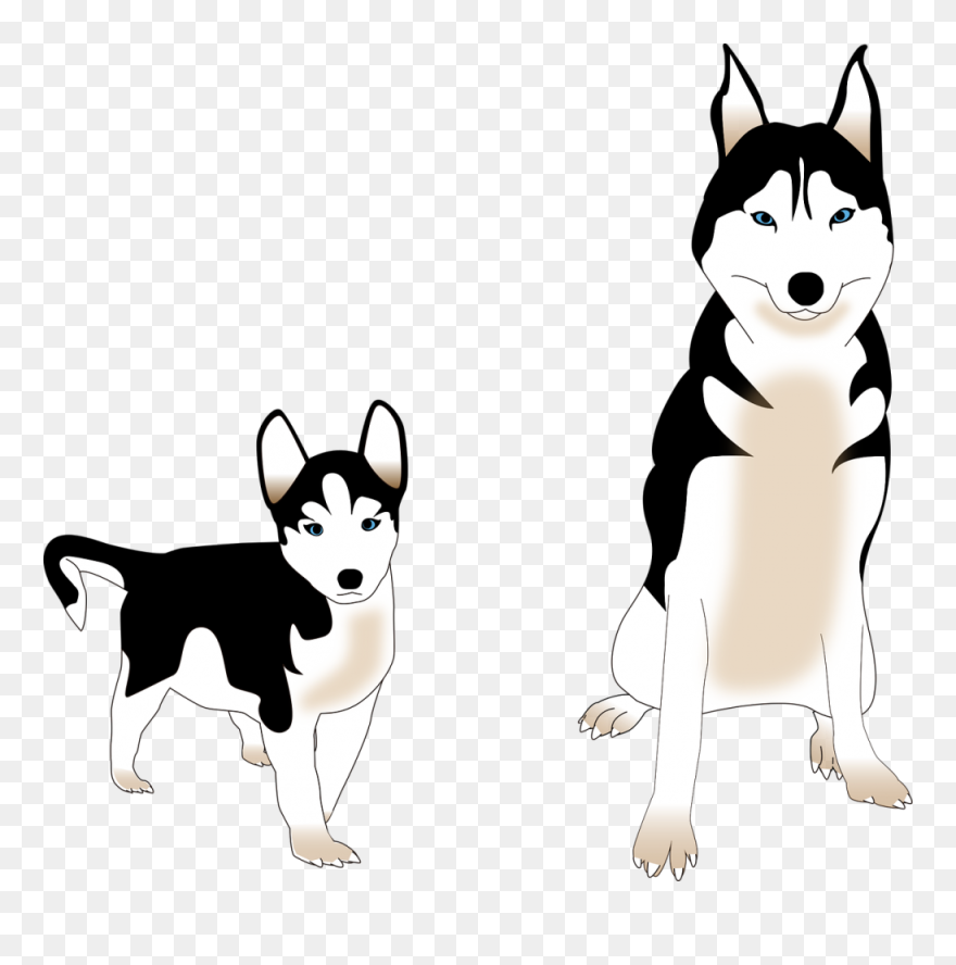 Husky Siberiano Vector Png Clipart