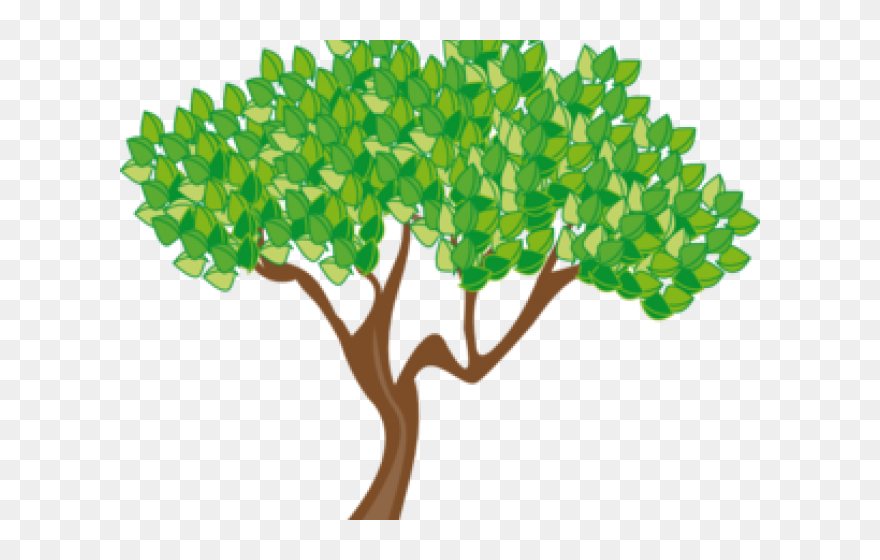 Cartoon Tree Transparent Background Clipart