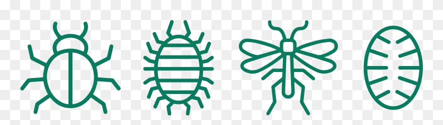 Illustration Clipart