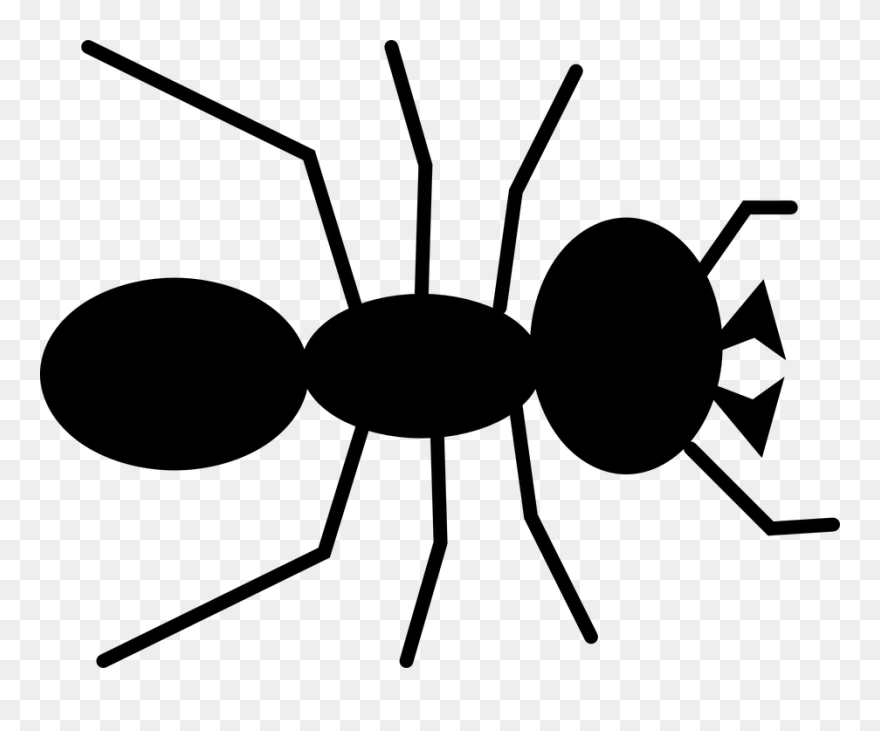 Aerial Clipart Bug Antenna - Ant Clipart - Png Download