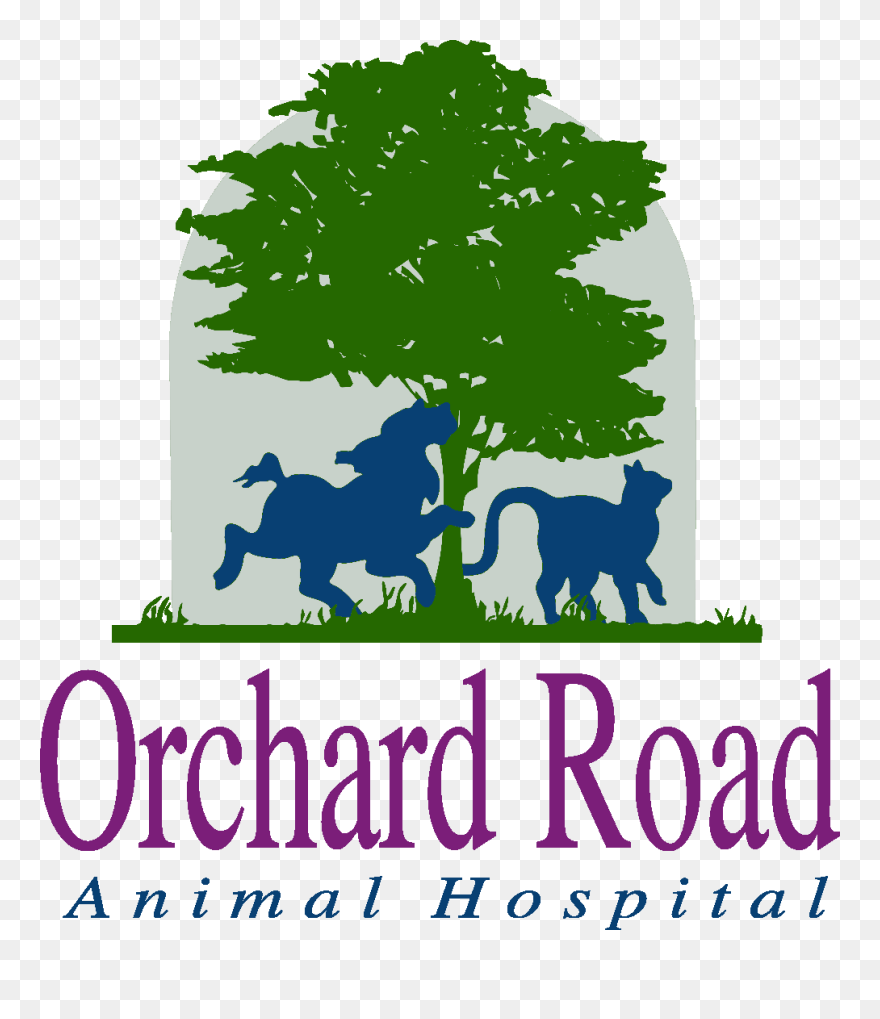 Orchard Road Animal Hospital - Tree Clipart