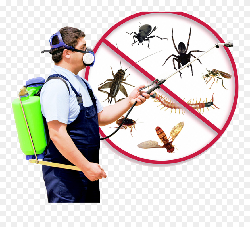 Pest Control Services Clipart