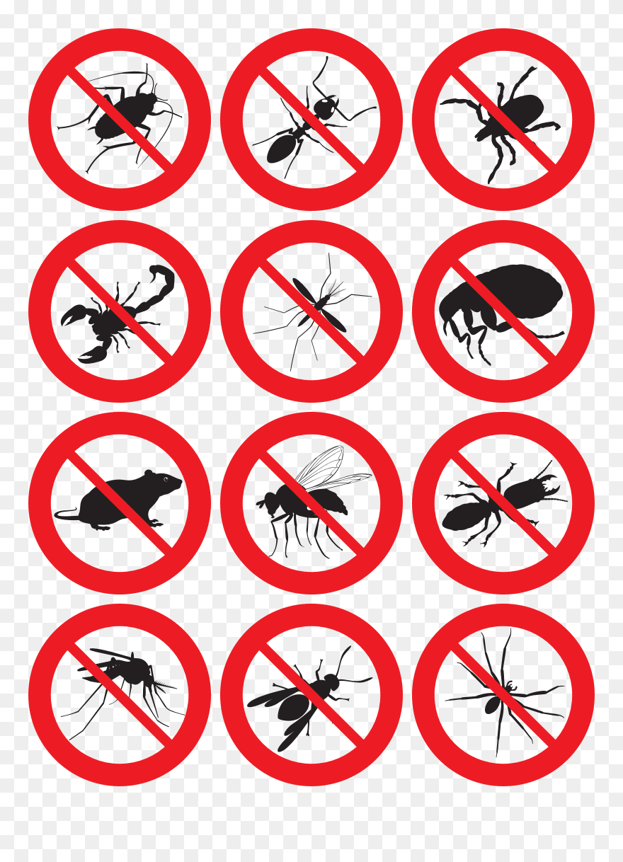 Secure Fumigation Pest Control Services Pest Control - Lahinch Beach Clipart